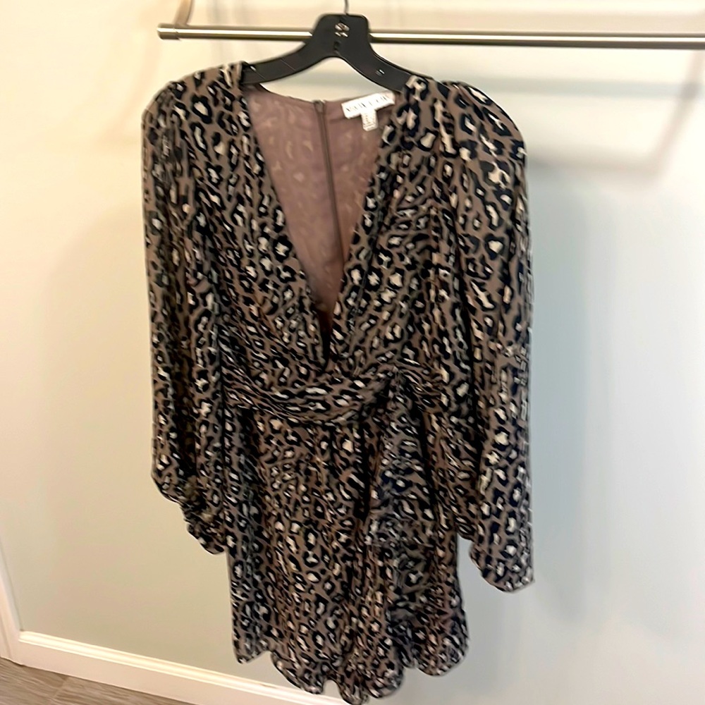 Shona Joy Mariaposa Long Sleeve Leopard Dress